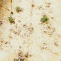 Smruti Shah's cooksnap of when they made વાટી દાળ ના ખમણ (Vatidal Khaman Recipe In Gujarati).