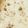 Smruti Shah's cooksnap of when they made વાટી દાળ ના ખમણ (Vatidal Khaman Recipe In Gujarati).