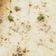 Smruti Shah's cooksnap of when they made વાટી દાળ ના ખમણ (Vatidal Khaman Recipe In Gujarati).