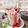 Cooksnap dari Frielingga Sit untuk resep Es krim buah naga