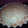 El cooksnap de Micaela Ruiz cuando hizo Tarta de Coco y Dulce de Leche (sin T.A.C.C).