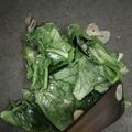 Cooksnap dari Lis Tuti untuk resep Kiciwis oseng bawang putih
