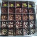 Cooksnap dari devita untuk resep Brownies Crunchy & Shiny fav. Keluarga