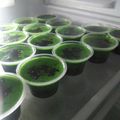 Cooksnap dari cicih komalawati untuk resep Puding lumut trilogi imut😄