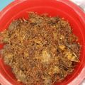 Cooksnap dari Suzhie Riyatha untuk resep Serundeng Daging Sapi