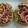Cooksnap de Maria Silva quando cozinhou Tortitas de Arroz com Tomate e Pickles de Cebola Roxa.
