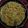 il مـــاجـــد 🍽️ quando ha preparato Spaghetti ai fiori di zucchina e limone