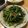 Chang 的 絕配~空心菜炒牛肉 cooksnap