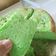 Cooksnap dari anggersaptorini untuk resep Chiffon Pandan