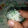 Cooksnap dari Indah Suprapti untuk resep Klepon #JelajahResepRumahan