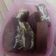 Cooksnap dari Dolly Novieta untuk resep Pukis Cokelat #Keto #DEBM