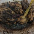 Cooksnap dari Ayindha untuk resep Karih Ayam Khas Banjar