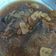 Cooksnap dari Yani untuk resep Cwan cwan Bandeng