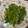 Amy Hung 的 豌豆炒洋蔥（方便素） cooksnap