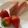 Cooksnap dari Olimpia untuk resep Ogura straberry