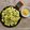 Arpita Shah's cooksnap of when they made વાટીદાળ ના ખમણ (Vatidal Khaman Recipe In Gujarati).