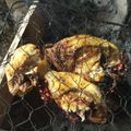 Cooksnap dari Panti Asuhan Ibadurrahman Jambi untuk resep Ikan Bakar Nila Bumbu Kuning ala Padang