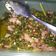 Cooksnap dari Nadia Arini untuk resep Baby cumi asin cabe hijau