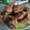 El cooksnap de Eduardo Valencia cuando hizo Pollo frito al estilo Sonorense.