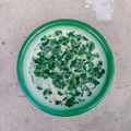 Cooksnap dari Widjie Astuti untuk resep Kelor santan (khas sulawesi tengah)
