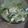 Cooksnap dari nurulffs untuk resep Sayur bening tauge tahu