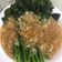 Cooksnap dari Rosmala Dewi untuk resep 365. Kailan Cah Garlic
