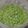 El cooksnap de Becky cuando hizo Pesto.