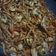 Cooksnap dari Christina OS untuk resep Bakmie goreng jawa