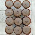 Cooksnap από Maria V στη συνταγή Oreo cookies cupcakes!