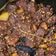 Cooksnap dari Yusrianti Syarief untuk resep Gore-Gore (Sambal Goreng Daging Khas Bugis Makassar)