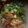 รูป Cooksnap ของ คนบ่มีค่า บ่ส่ำหมาตัวหนึ่ง เมื่อเขาทำ ก๋วยจั๊บ(ยั่ว)ญวน