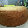 Cooksnap dari Suci Permatasari untuk resep Bolu macan bangka