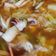 May 的 Sautéed Squid Soup 生炒花枝羹 cooksnap
