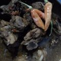 Cooksnap dari Candra Widi untuk resep Ayam rica-rica