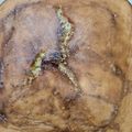 El cooksnap de Romii cuando hizo Bizcochuelo genoise.
