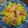 Alan Jou 的 鳳梨蝦球 cooksnap