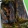 Cooksnap dari Terry Belinda Pritasari untuk resep Pepes ikan patin pedas gurih