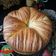 Cooksnap dari Tri Yunianti untuk resep Wool Roll Bread