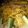 Mrs Ahmadyapeco's cooksnap of when they made Aisha's Special stir fry noodles with minced meat and sunny side up egg.