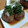 あーこ's cooksnap of when they made 簡単和風ハンバーグ♡おろしポン酢ソース.