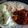 carmenalu's cooksnap of when they made Camarones Ala Diabla.