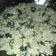 Cooksnap dari Sandra Dewi untuk resep Nasi goreng daun katuk daging sapi sambal terasi