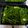 Karen Wu 的 蒜炒空心菜 cooksnap