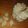 cynthia Tedesco's cooksnap of when they made Santa's Favorite Sugar Cookie.
