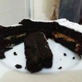 Cooksnap dari Tika untuk resep Oreo cake kukus simple pake banget