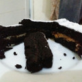 Cooksnap dari Tika untuk resep Oreo cake kukus simple pake banget