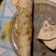 El cooksnap de carla cuando hizo Masa para tacos fácil.