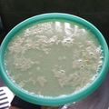 Cooksnap dari Maratu Solihah untuk resep Puding santan pandan