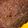El cooksnap de Elizabeth cuando hizo Brownie tres minutos (microondas) .