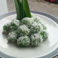 Cooksnap dari Yuliati untuk resep Klepon